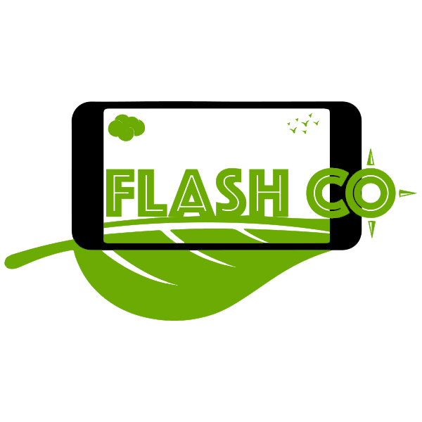 FlashCO